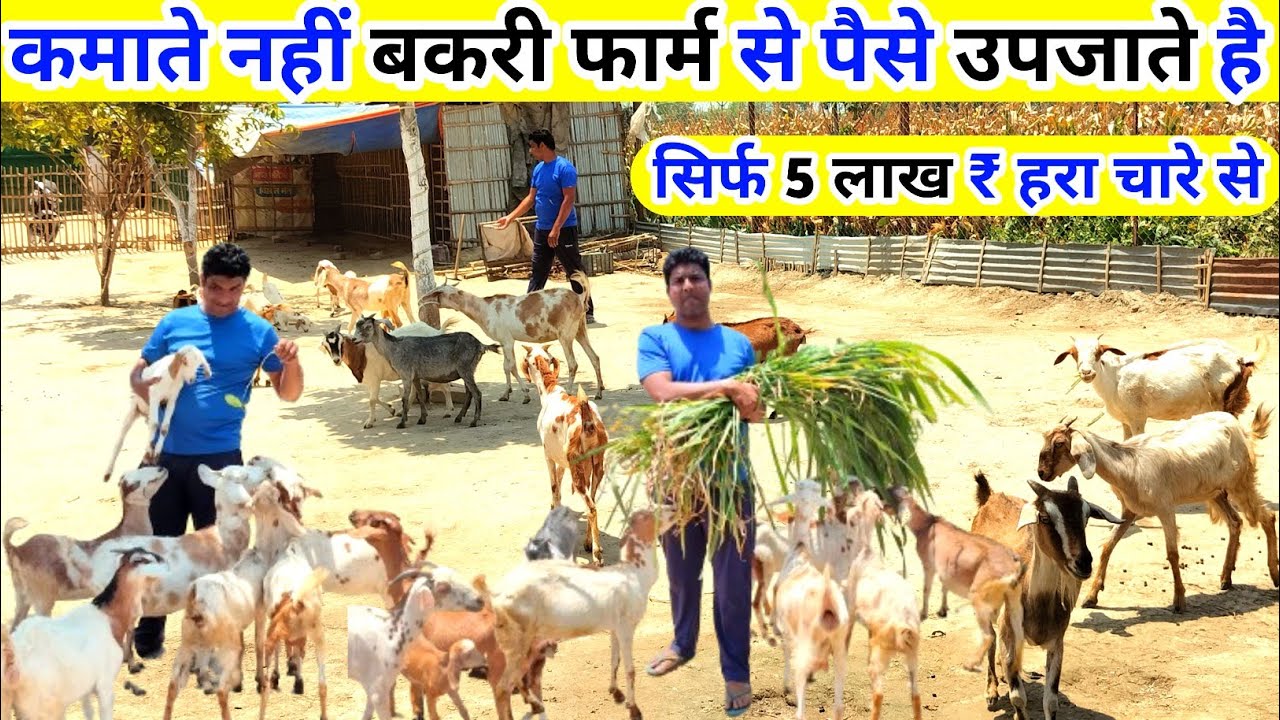 Integrated Goat Farming Scheme